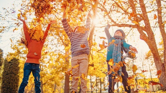 Kinder spielen im Herbstlaub, das von Bäumen fällt.