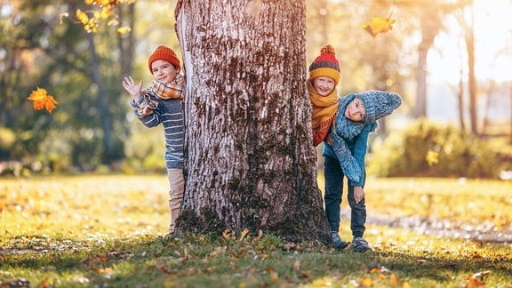 Eine Gruppe von Kindern, die sich hinter einem Baumstamm versteckt.