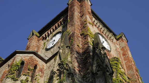 Kirchenruine Wachau, mit Efeu bewachsen. Eine große Uhr ist am Kirchturm zu sehen.