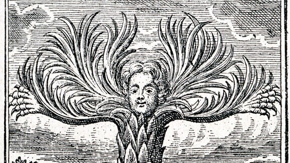 Ein Baum mit einem menschlichen Kopf: Illustration aus dem fantastisch-satirischen Roman "Klims unterirdische Reise"