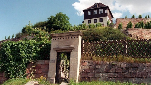 Hinter einem Tor aus Stein und einem Zaun erstreckt sich ein Weinberg, auf dem ein Haus steht. 