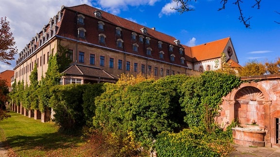 Kloster Wechselburg vor strahlend blauem Himmel, umgeben von Bäumen und mit Efeu bewachsen.