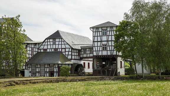 Kunst- und Senfmühle Kleinhettstedt