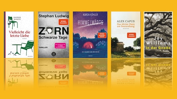 Eine Collage aus fünf Büchern auf gelbem Hintergrund