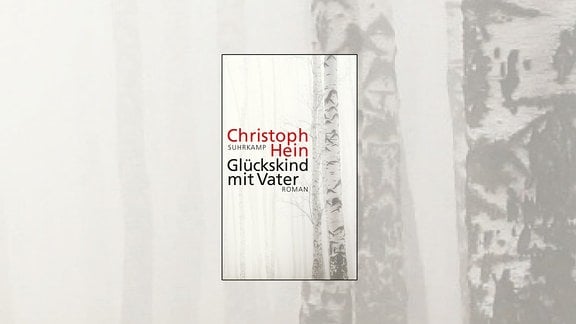Cover von Christoph Heins Roman "Glückskind mit Vater" zeigt einen nebligen Birkenwald.