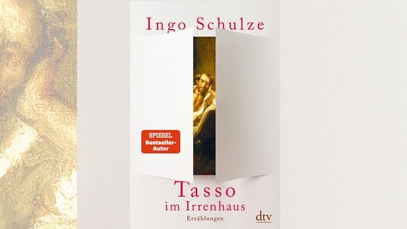 Ingo Schulze, Tasso im Irrenhaus, Buch, Cover