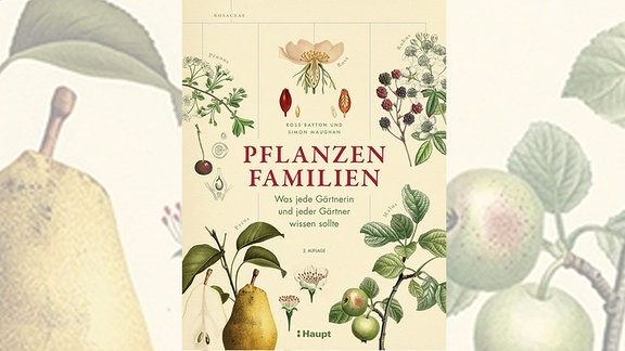 Cover des Buches "Pflanzenfamilien", das künstlerische Zeichnungen einer Birne und eines Apfels zeigt