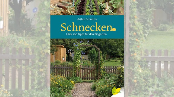 Cover des Buches "Schnecken", das ein grün bewachsenes Gartentor zeigt. Auf türkisfarbenem Banner darüber der Titel des Buches.