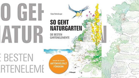 Cover des Buches "So geht Naturgarten" von Katja Falkenburger mit Aquarellen einer Meise und von Blumen