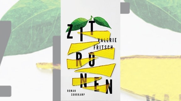 Gelbe Scherbe auf weißem Grund, Buch-Cover