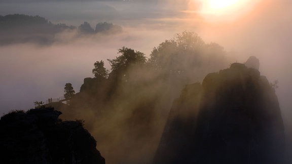 Morgennebel hüllt die Basteifelsen in der Sächsischen Schweiz ein.