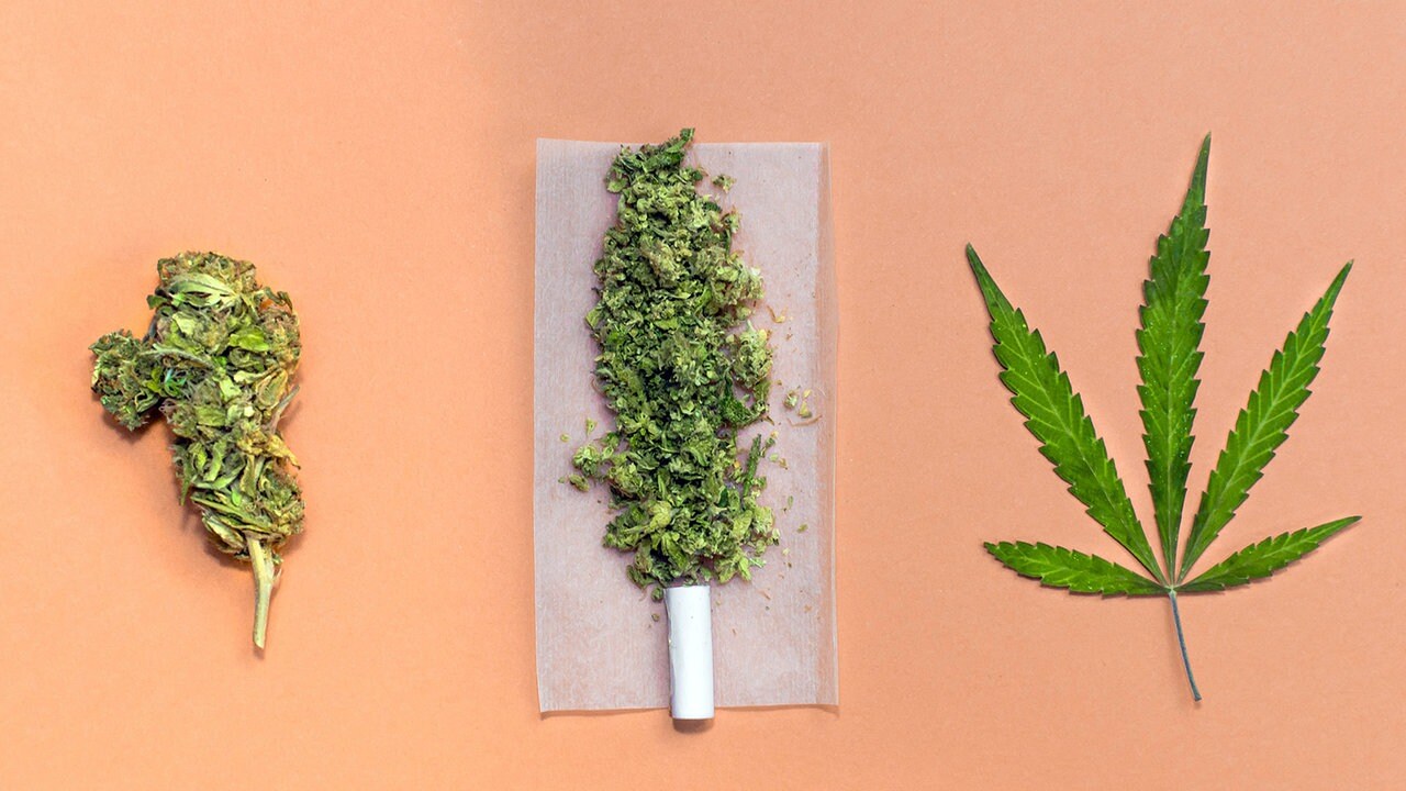 Cannabis-Legalisierung: Eckpunkte zu Kauf, Besitz, Eigenanbau und  THC-Gehalt