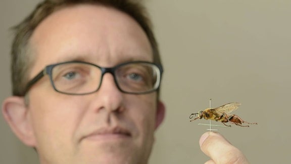 Michael Ohl mit einem Insekt