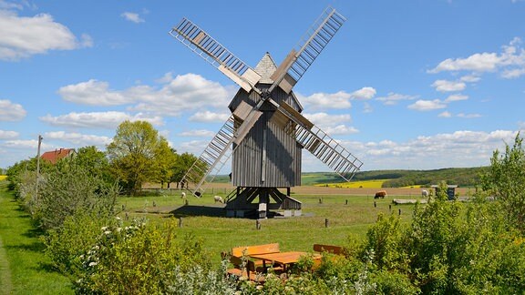 Blick auf eine alte Holzmühle auf einer grünen Wiese umgeben von grünen Bäumen und Sträuchern.