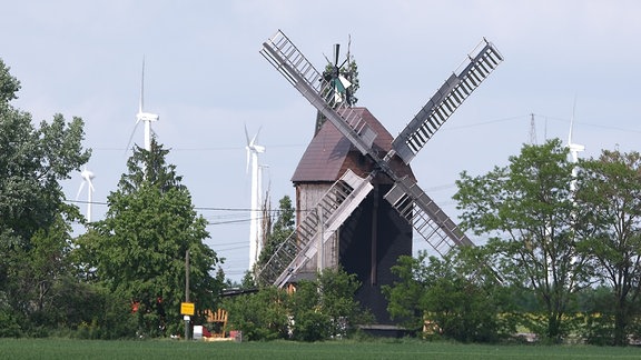 Die Paltrockwindmühle aus dem Jahr 1825 von Martin Wernicke, Zimmermann aus Nordsachsen.