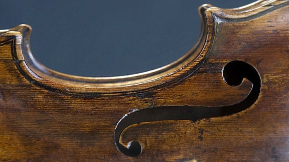 Korpus einer antiken Violine