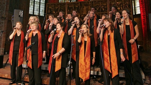Der Dresdner Gospelchor reNEWed singt.