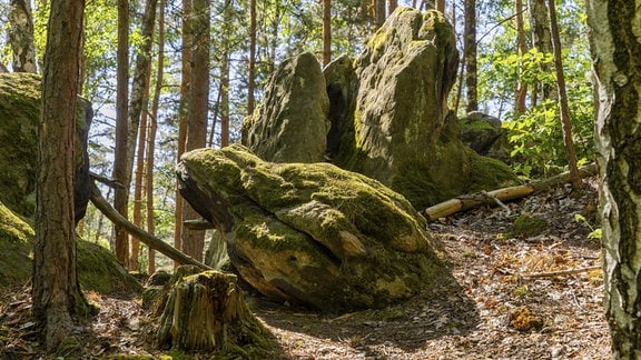 Felsareal Nikolsdorfer Wände in der Sächsischen Schweiz