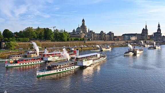 Schiffe auf der Elbe in Dresden: Während des Dixieland Festivals findet die so genannte Riverboat-Shuffle statt