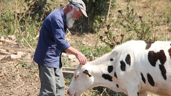 Früher hielt Bauer Zheko Kühe nur für den Eigenbedarf. Dank der EU-Gelder konnte er seinen seinen Bestand aufgestocken und beliefert nun die umliegenden Dörfer mit Milch.