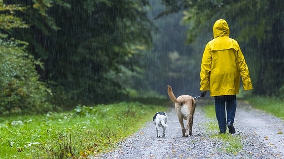 Frau beim Spaziergang mit Hunden im Regen