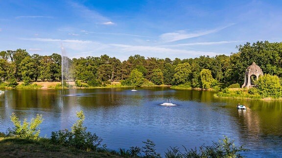 Rotehornpark in Magdeburg: Blick auf einen Teich umgeben von grüner Wiese und Bäumen.
