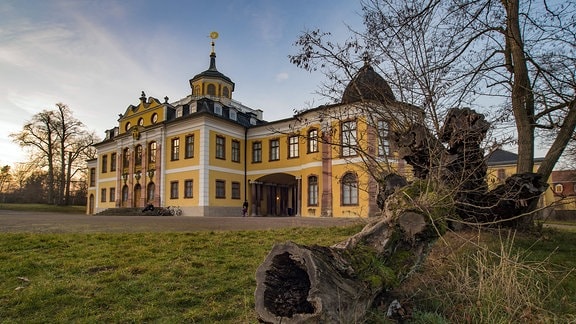 Schloss Belvedere in Weimar, davor ein toter Baumstamm auf einer Wiese