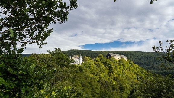 Eine Schloss auf eiem Felsen, umgeben von Wäldern.