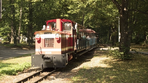 Eine Miniatur-Eisenbahn fährt durch einen Park.
