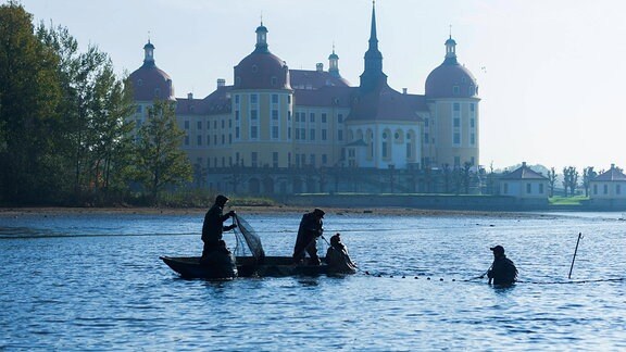 Abfischen des Schlossteiches in Moritzburg