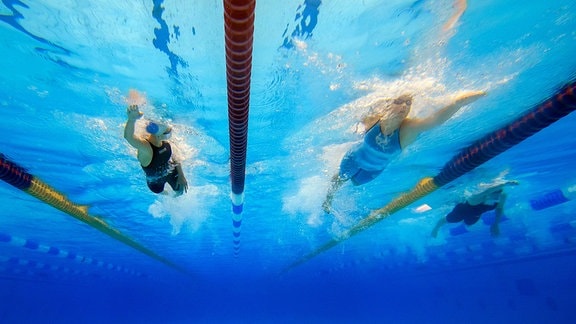 Schwimmer ziehen im Wasser ihre Bahnen