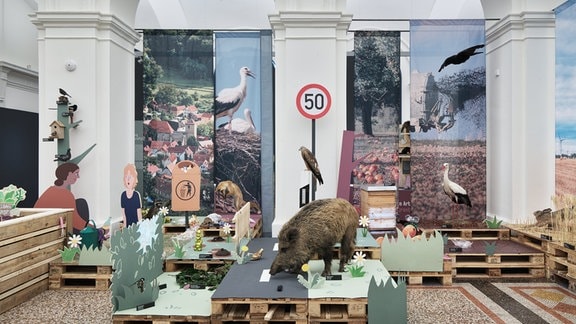 Blick in ein Museum: Auf Paletten ist eine Szene arrangiert mit einen ausgestopften Wildschwein, schemenhaften Gräsern aus Papier und einem Tempo-50-Schild.