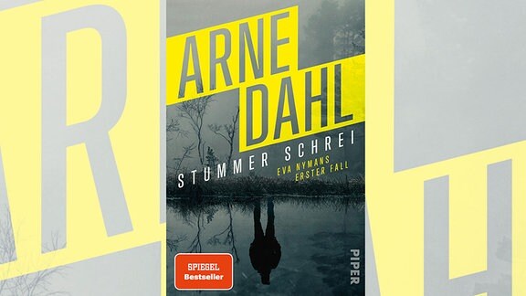 Cover eines Buches: eine grau, neblige Landschaft, die Füße eines Mannes spiegeln sich in einem Teich, daneben der Schriftzug: "Stummer Schrei" von Arne Dahl
