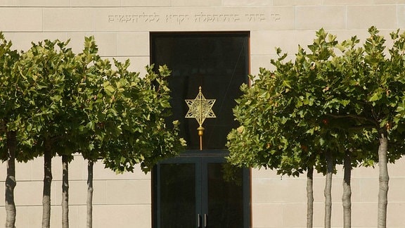 Blick durch eine Allee auf den Eingangsbereich einer Synagoge mit goldenem Stern und hebräischem Schriftzug