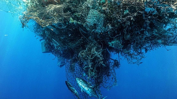 Tote Fische in einem Knäuel aus alten Netzen und Müll im Ozean