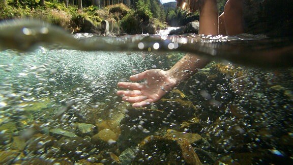 Ein Mädchen hält eine Hand in einen Fluß