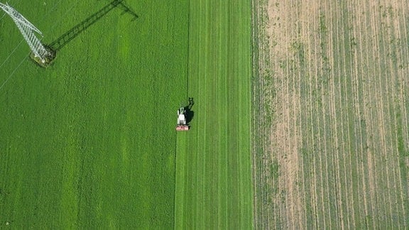 Luftaufnahme von einem Feld, das bewirtschaftet wird.