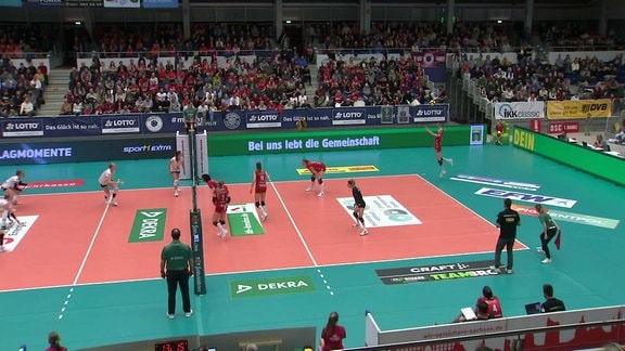 Aktuell - Volleyball / vor Pokal-4tel-Finale Dresden vs. Suhl