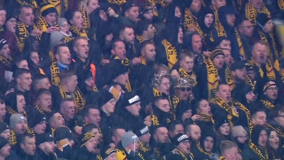 Fans des Dynamo Dresden auf der Tribüne