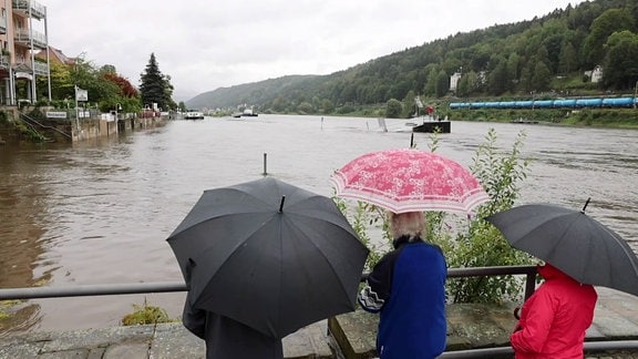 Drei personen mit Regenschirmen schauen auf einen Fluss mit hohem Wasserstand.