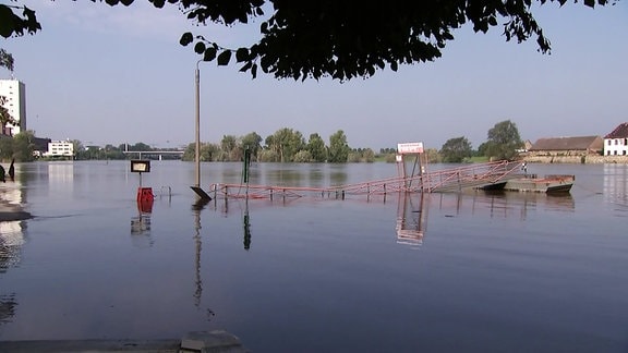 Hochwasser der Elbe bei Riesa