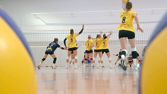 Volleyballerinnen vor dem Netz, von hinten gesehen.