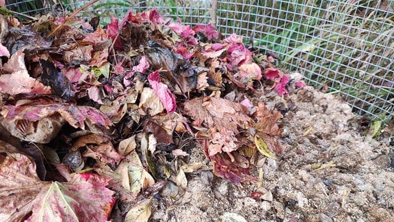 Ein Komposthaufen, auf dem buntes Laub und Mist untergemischt wurden