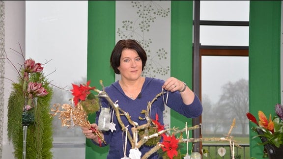 Gartenredakteurin Heike Mohr dekoriert einen Ast mit Weihnachtssternen