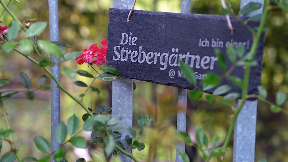 mdr 123 Was die Suche nicht findet.... GewinnPortal.de Die