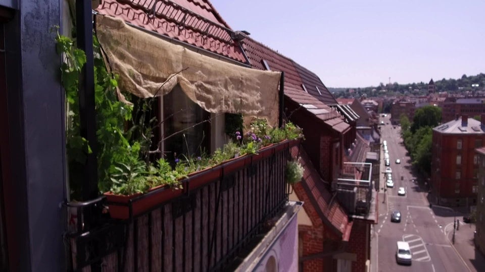 Ein Balkon Mit Wildpflanzen Und Biergartenfeeling Mdr De Ein Balkon Mit Wildpflanzen Und Biergartenfeeling Mdr De