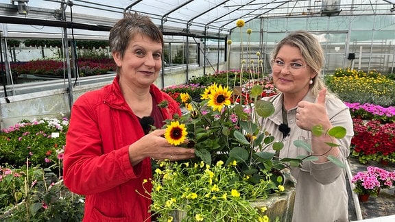 Ute Franke von der Gärtnerei Blankenburg in Franlkenberg und Moderatorin Diana Fritzsche Grimmig stehen hinter einem Kübel mit verschiedenen sommerlich, gelben Pflanzen.