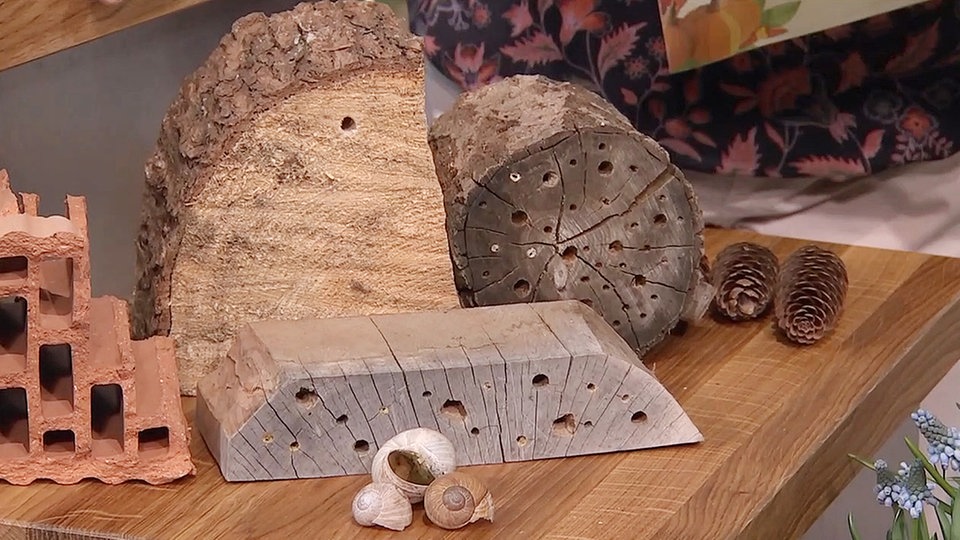 Insektenhotel bauen Tipps und Tricks MDR.DE