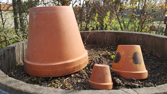 Auf einem Beet stehen umgekehrte Terrakottatöpfe. 