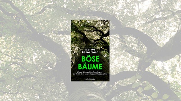Buchcover "Böse Bäume. Wie sie töten, stehlen, Feuer legen - die dunkle Seite unserer liebsten Waldbewohner"